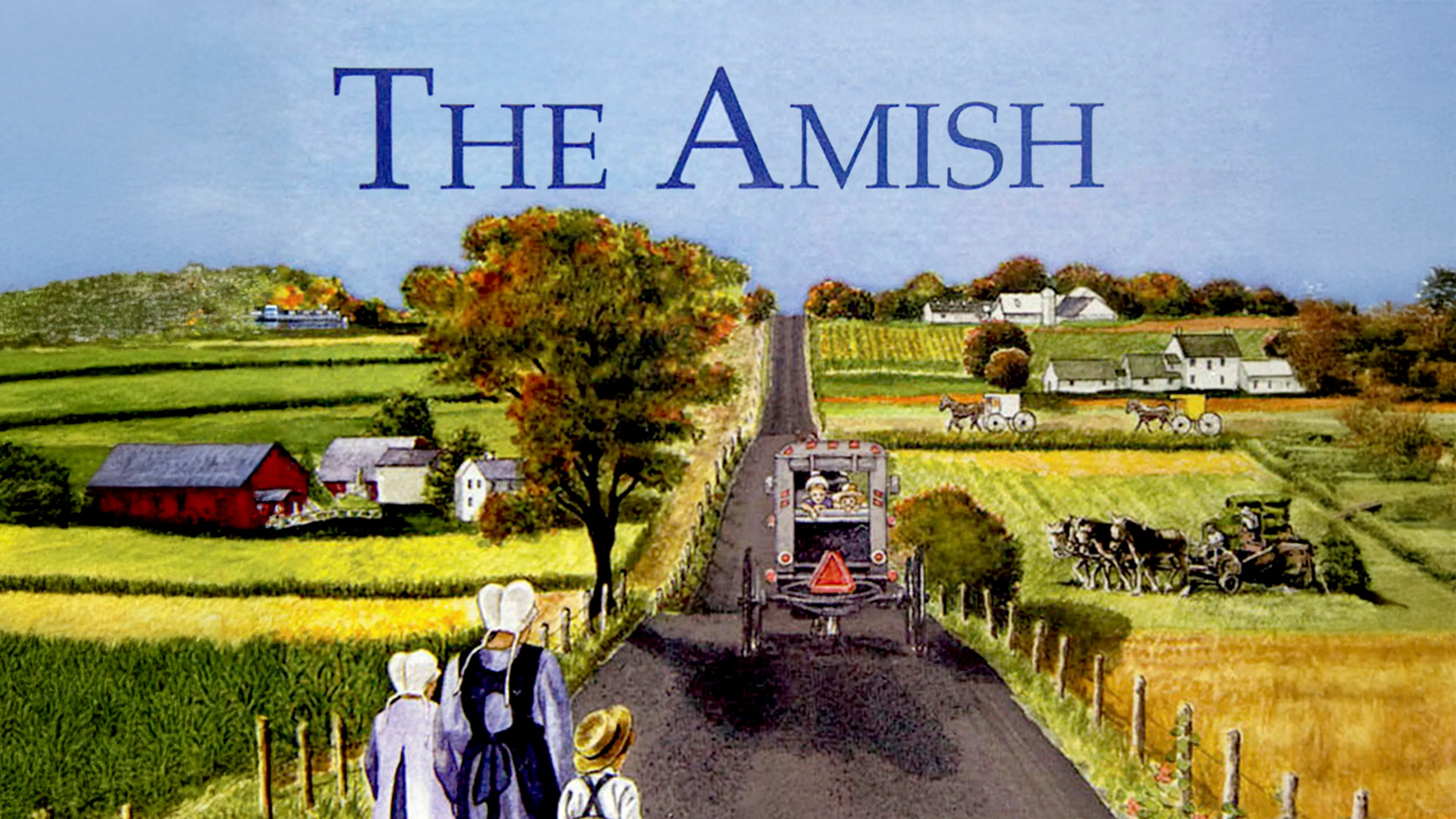 The Amish poster